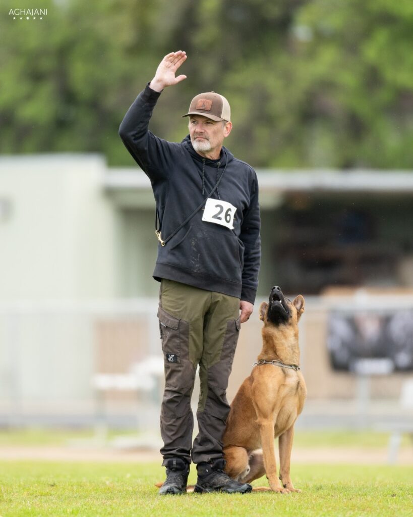 aggressive dog trainers in olympia wa