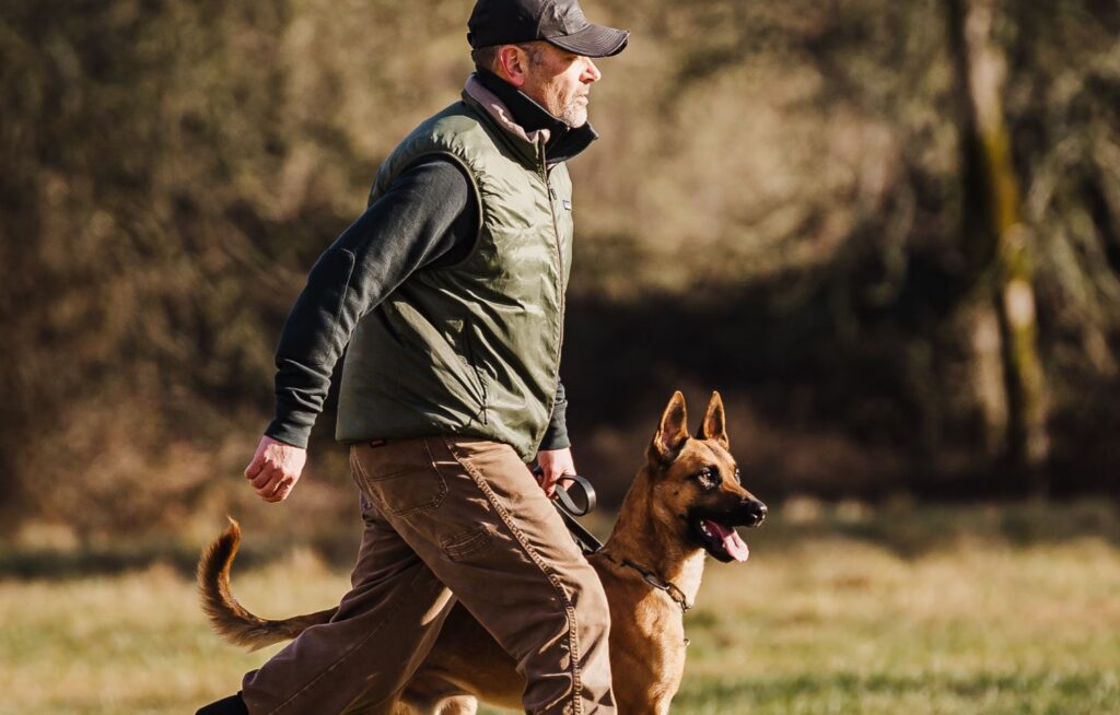 aggressive dog trainers in olympia wa